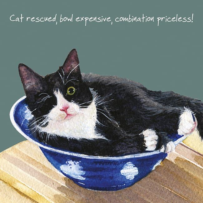 Black & White Rescue Cat Greetings Card