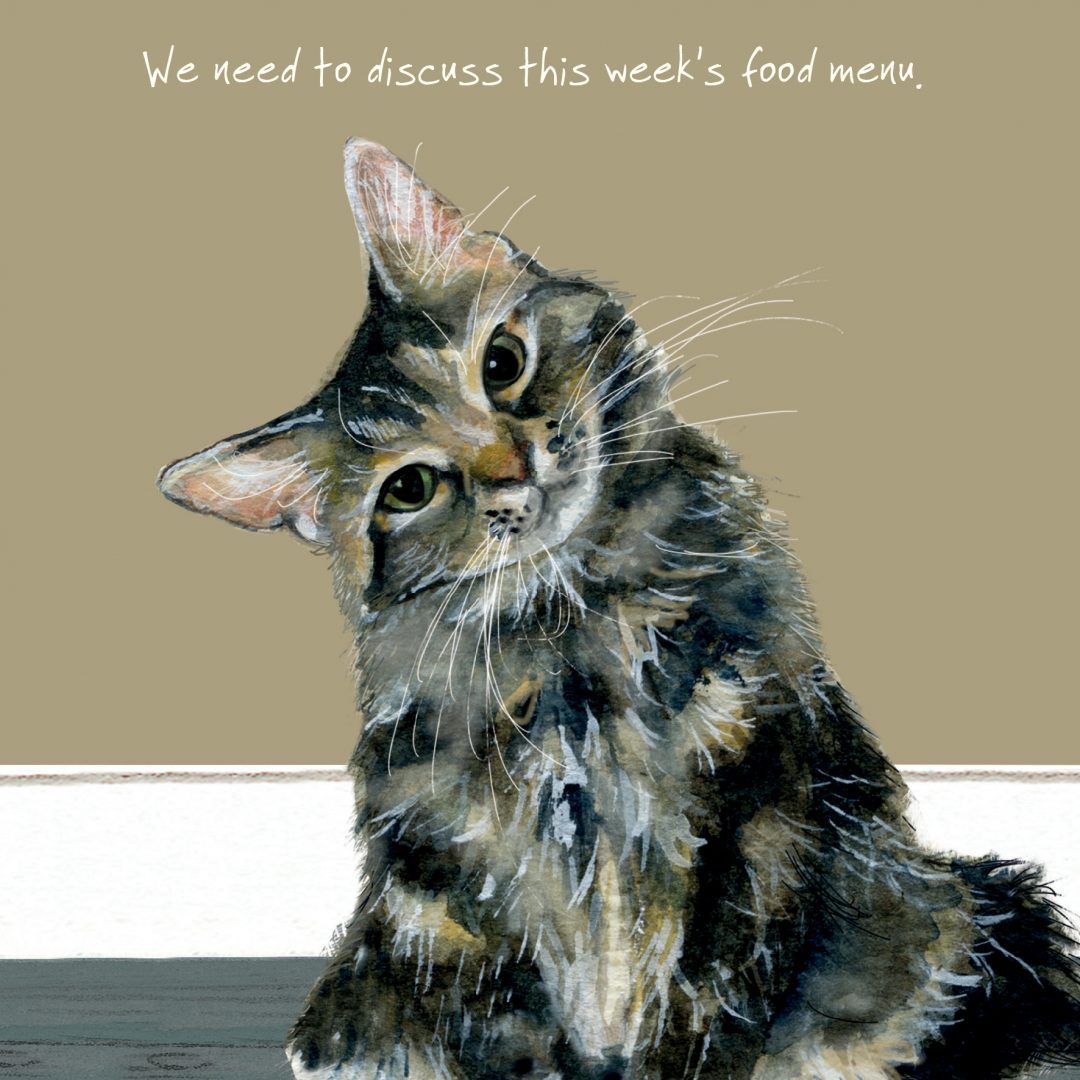 Tabby Cat Greeting Card – Menu