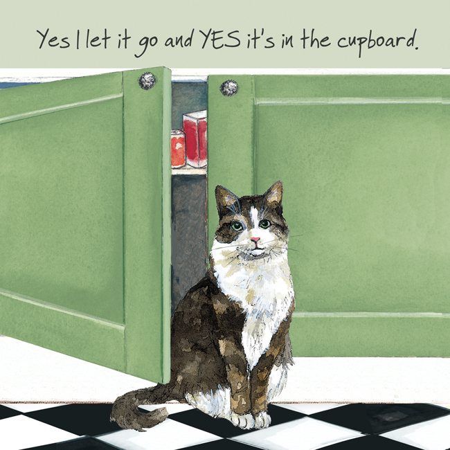 Happy Cat Greeting Card – Let go