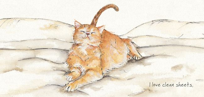 Magnificent Moggies Greetings Card - Clean Sheets