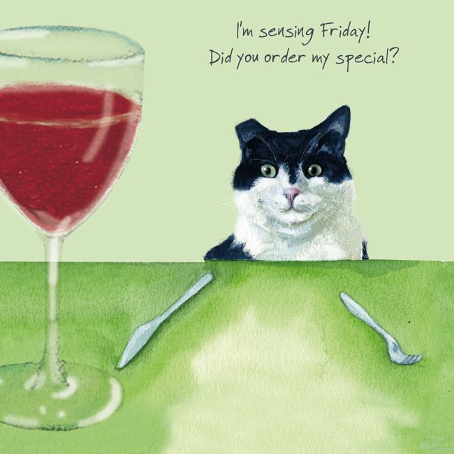 Black & White Cat - Friday Special - Greetings Card