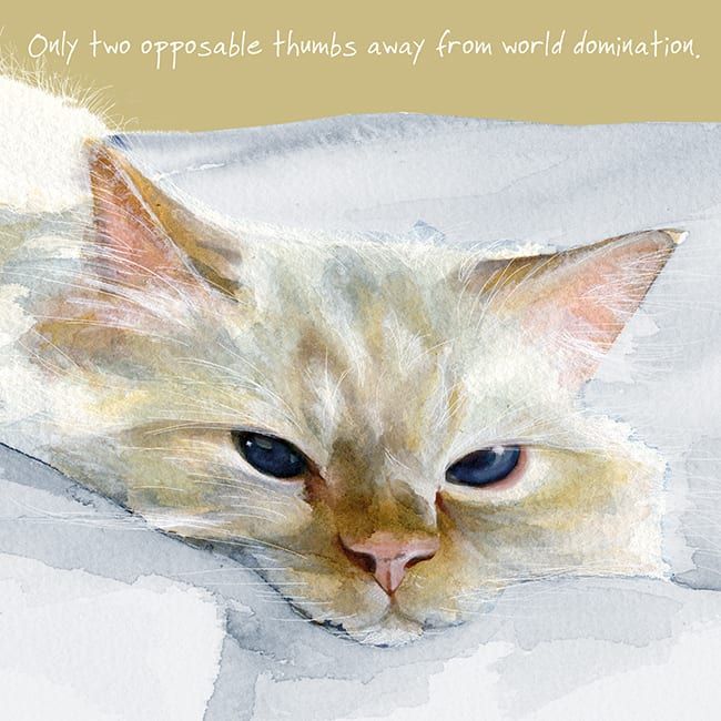 Happy Cat Greeting Card – World Domination