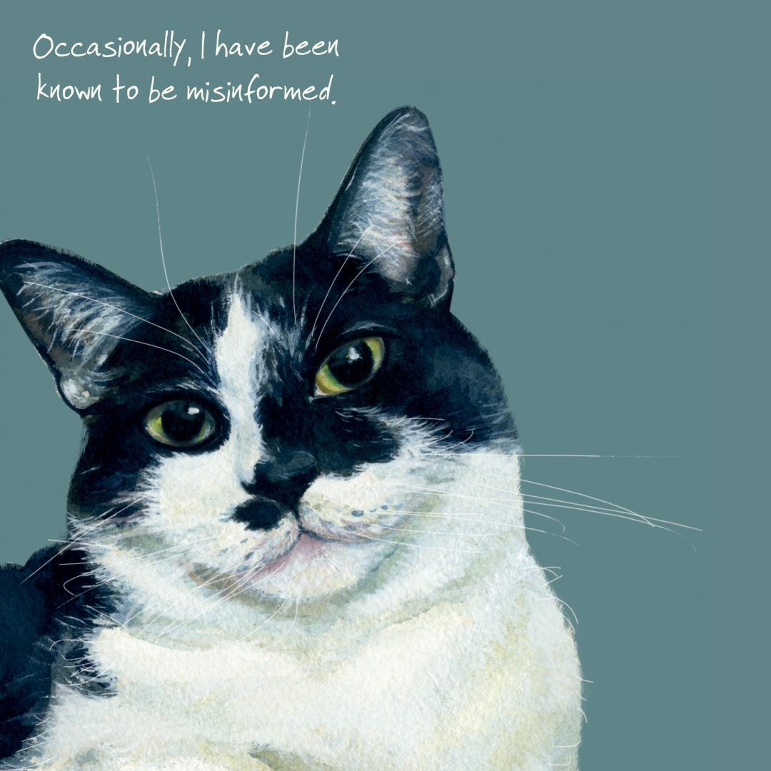 Happy Cats Greeting Card - Bossy Cat