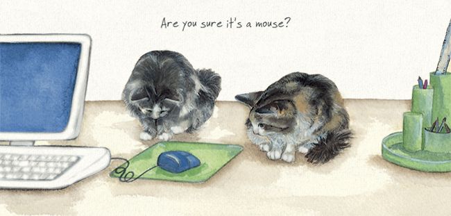 Magnificent Moggies Greetings Card - Office Cats
