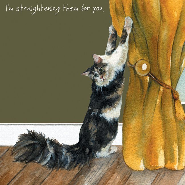 Happy Cat Greeting Card – Curtain Straightening