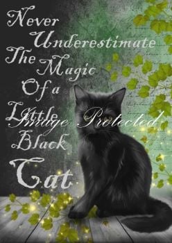 Never Under Estimate The Magic Of a Little Black Cat