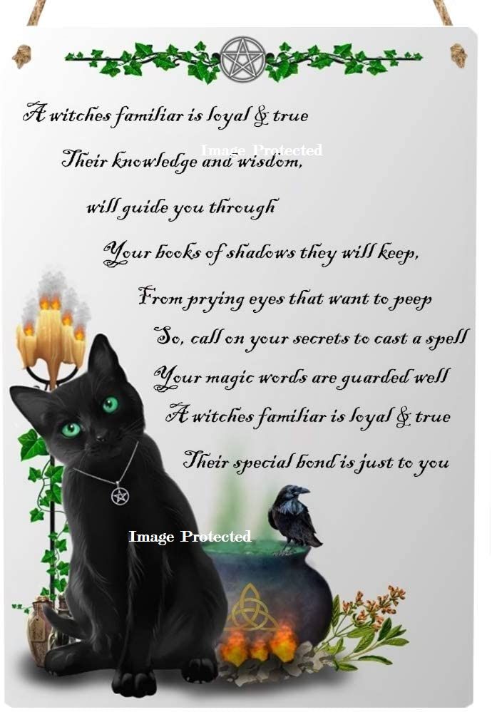 Hanging Metal Sign - A Witches Familiar - Black Cat, Cauldron & Spell Bottles - Bespoke Design & Poem