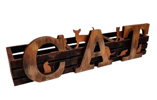 3 Compartment Wonky Wood Crate desk Tidy With MDF Cat Letters