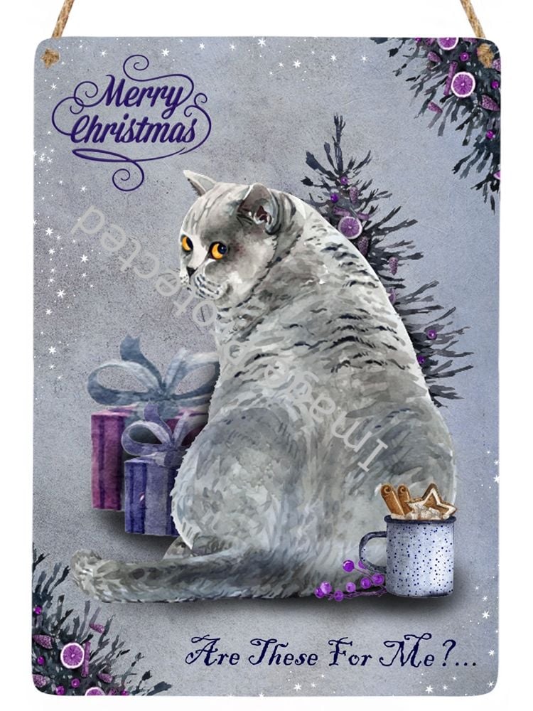 Christmas Cat Sign - Are These For Me?