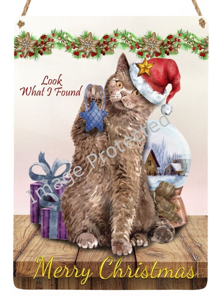Christmas Cat Sign - Look What I Found