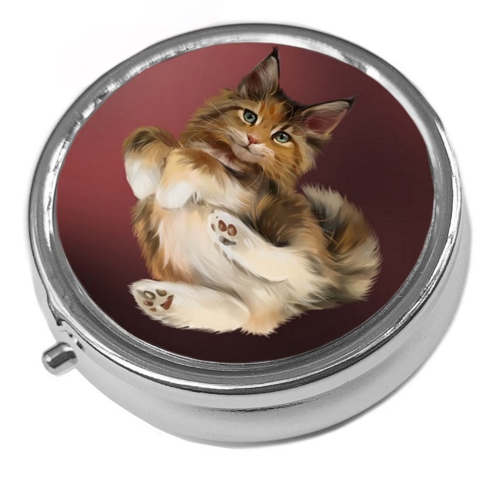 Sandy - Main Coon Kitten - Metal Pill Box - Cat Trinket Box 