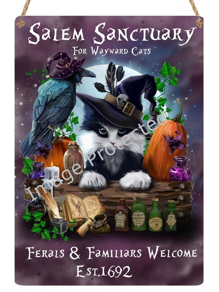 Hanging Metal Sign - Salem Sanctuary For Wayward Cats - Purple