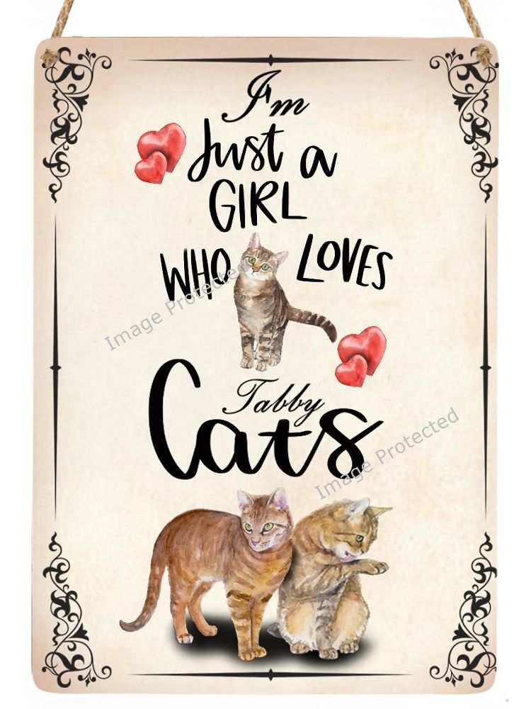 Hanging Metal Cat Sign - Just A Girl Who Loves Tabby Cats