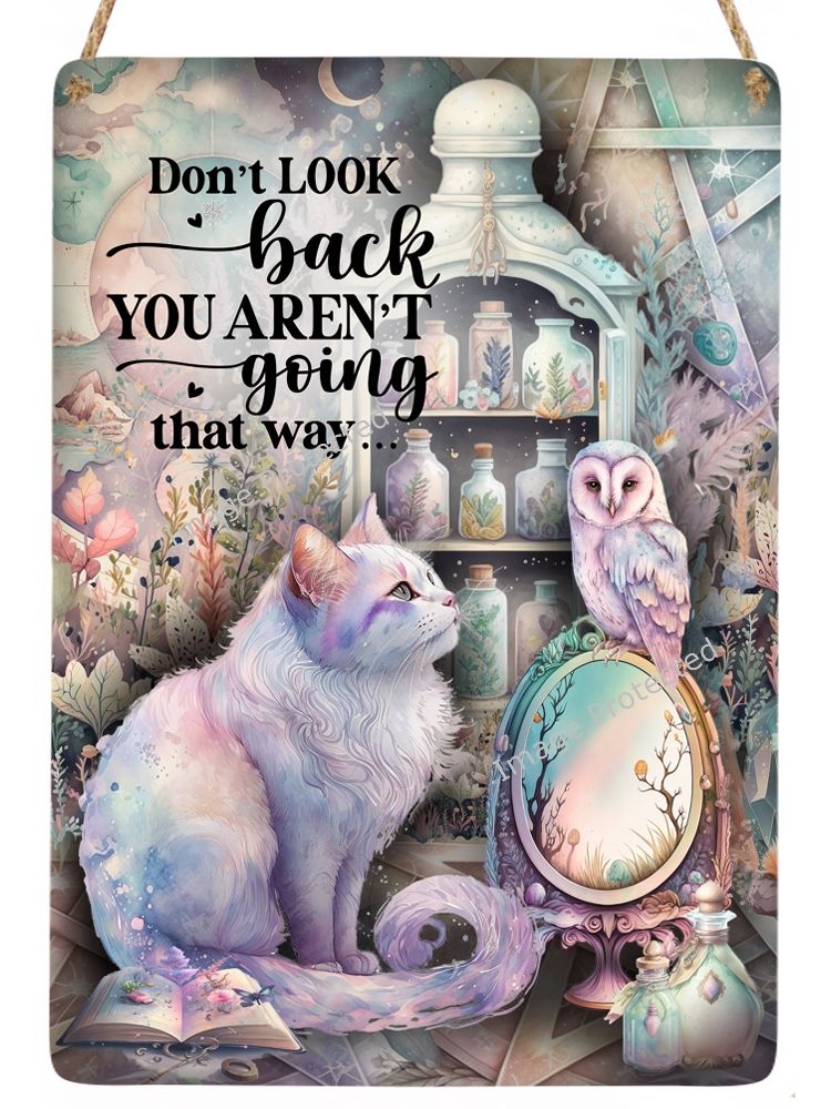 White Cat & Owl - Don't Look Back - Cat Sign