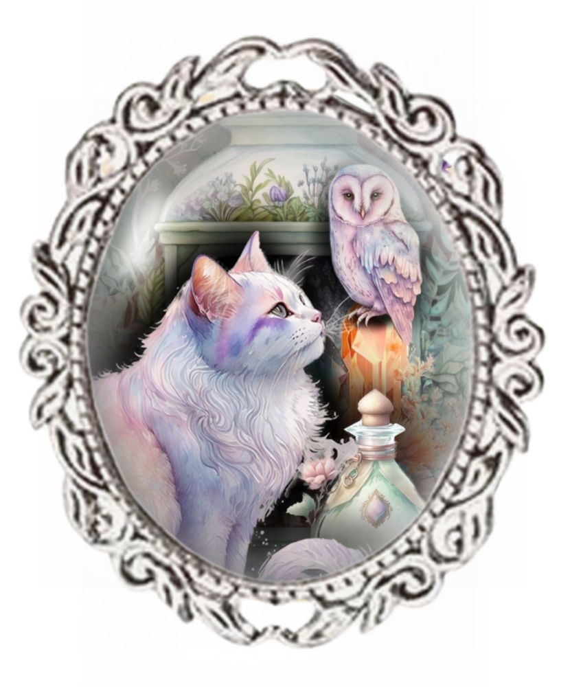 Silver Colour - Oval Glass Cabochon Brooch - White Cat & Owl