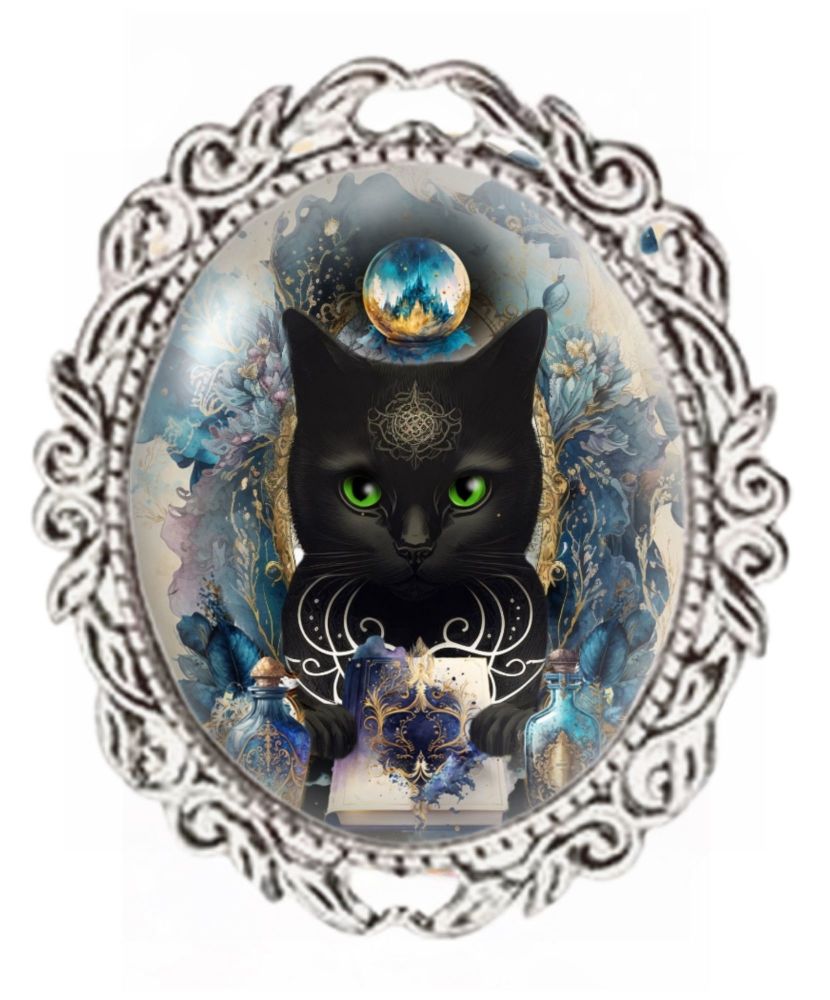 Blue black cat discount