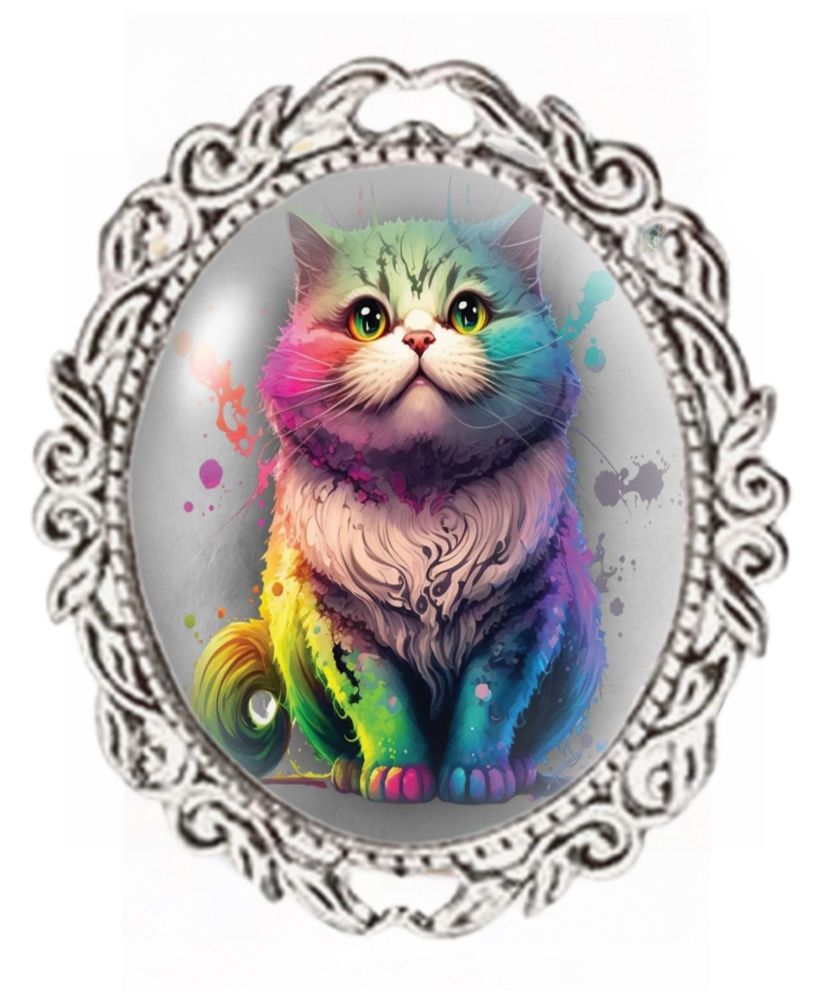 Silver Colour - Oval Glass Cabochon Brooch - Rainbow Cat