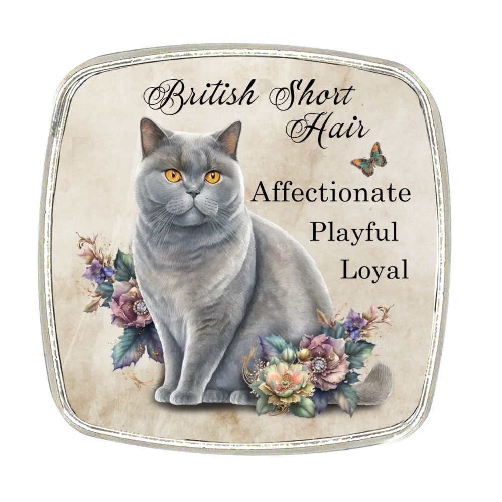 Chrome Finish Metal Magnet - British Shorthair Cat