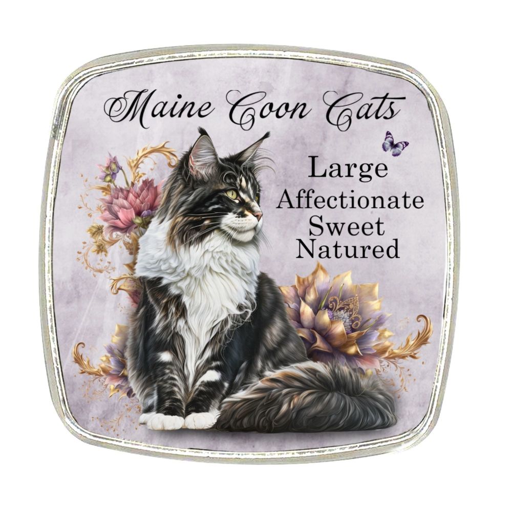 Chrome Finish Metal Magnet - Maine Coon Cats