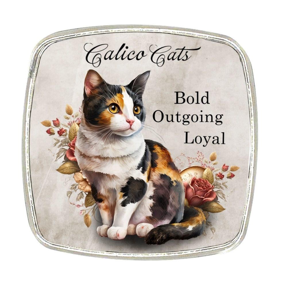 Chrome Finish Metal Magnet - Calico Cats