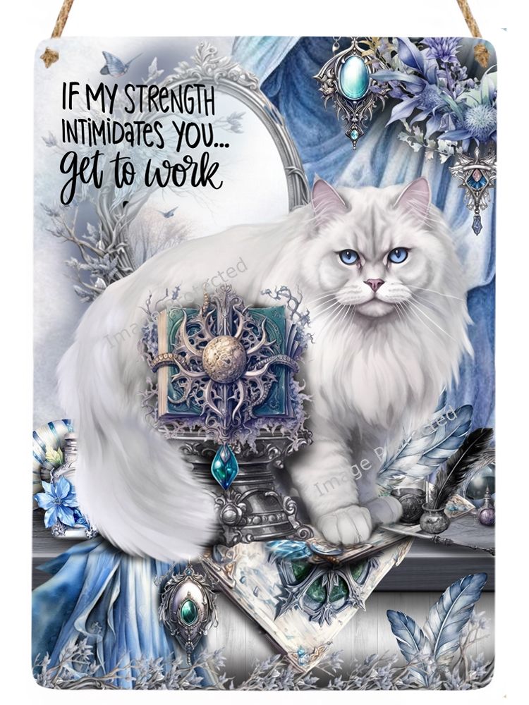 Cat Sign - Motivational Quote - If my strength intimidates you, get to work