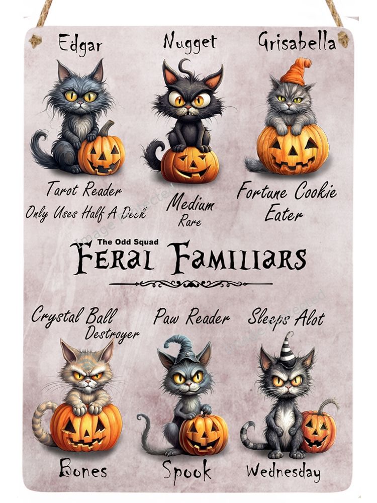 Witches Cat Sign - Feral Familiars