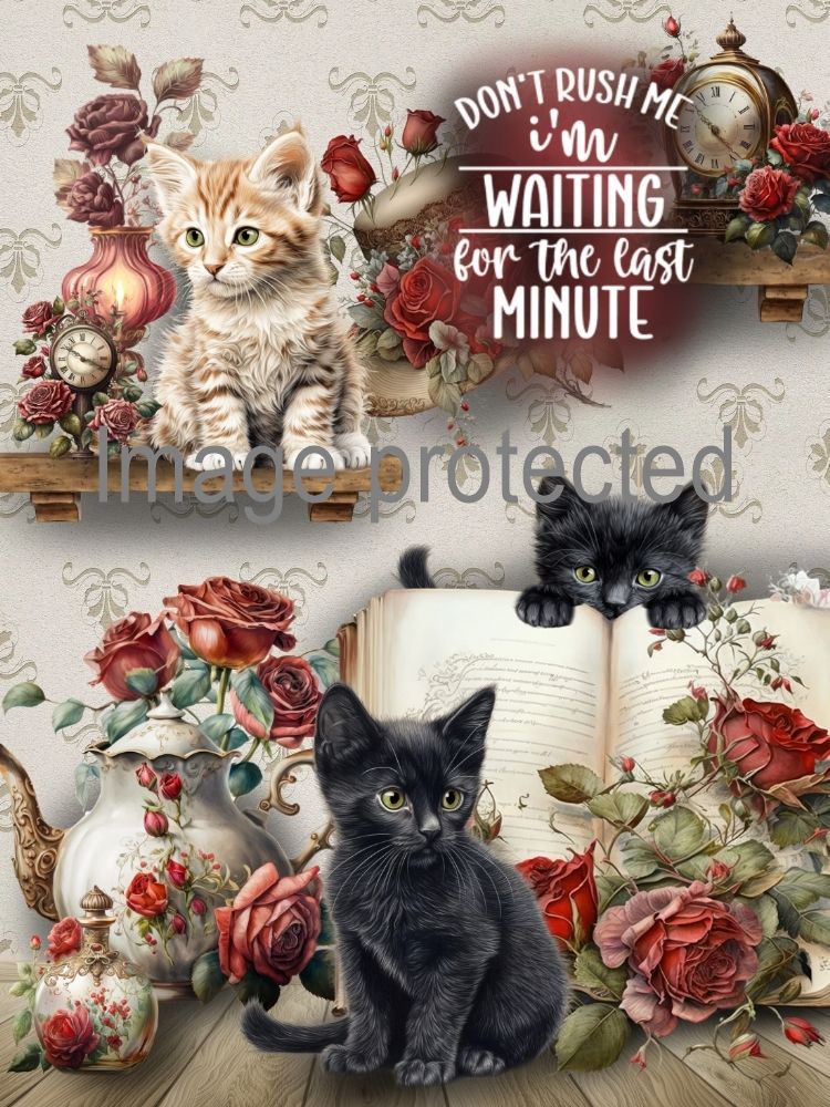 A4 Cat Art Quote Print - Don't Rush Me I'm Waiting For The Last Minute