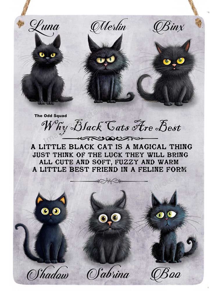 Metal Sign - The Best Thing About Black Cats Is...