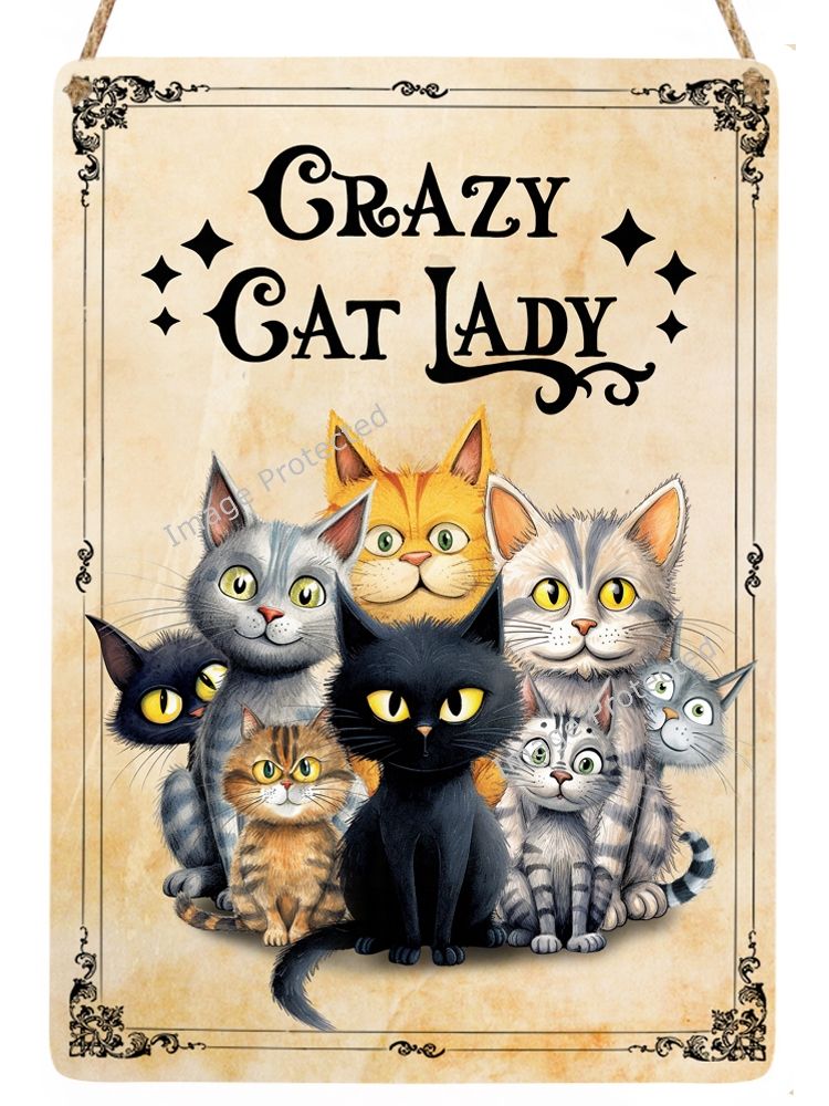 Metal Hanging Cat Sign - Crazy Cat Lady