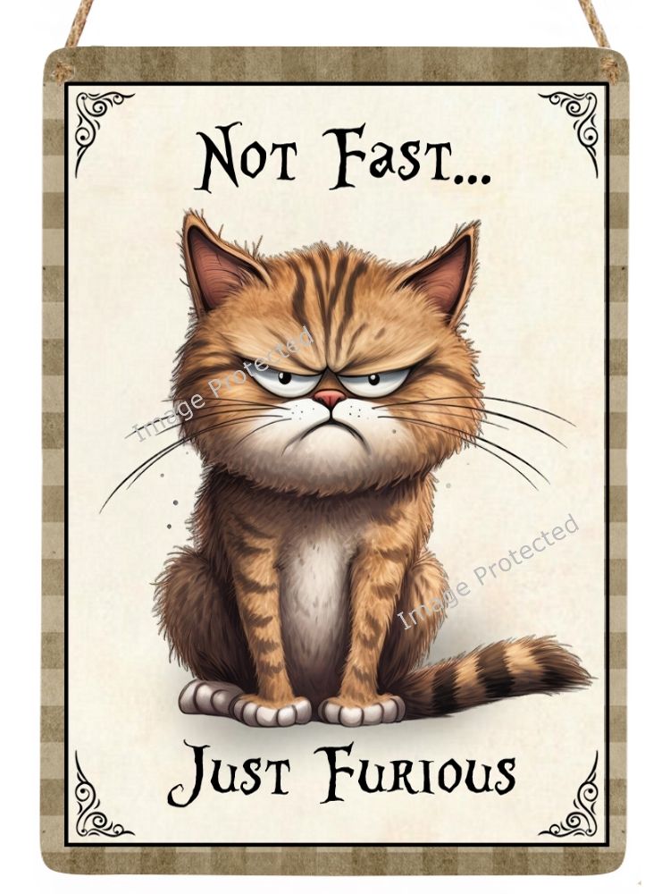 Metal Hanging Cat Sign -  Not Fast, Just Furious