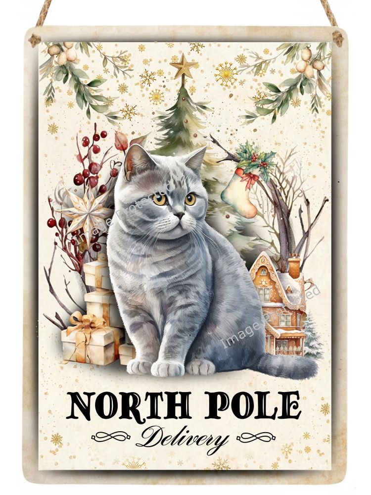 Christmas Cat Sign - British Short Hair Cat - North Pole Delivery