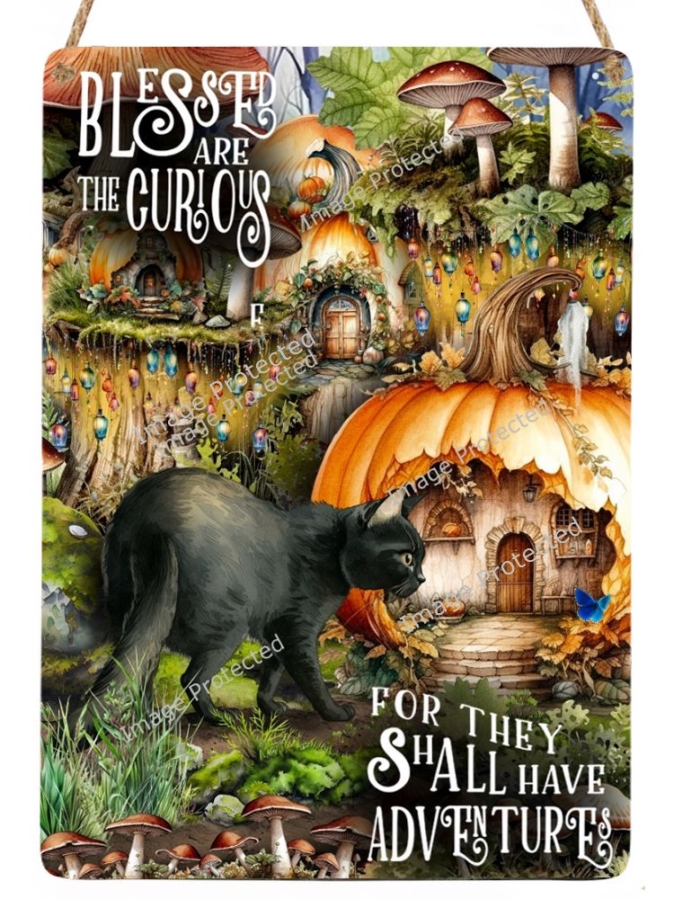 Black cat Sign - Blessed are the curious for they shall have adventure Quote