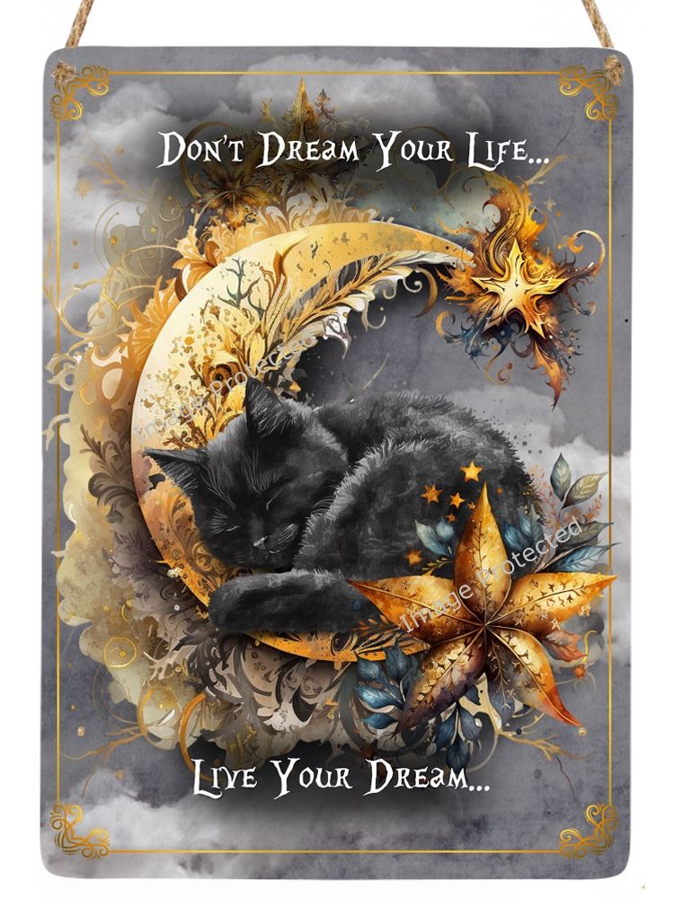 Black Kitten Sign - Live your dream