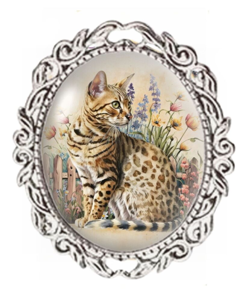 Silver Colour - Oval Glass Cabochon Brooch - Bengal Cat