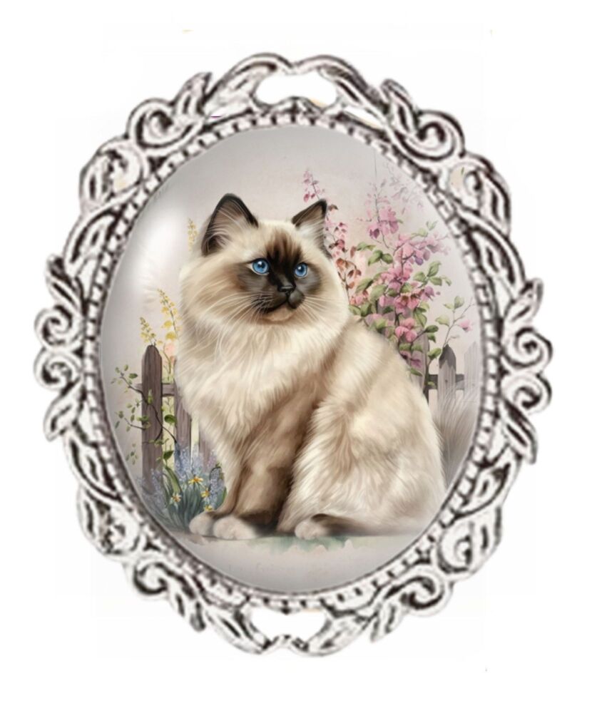 Silver Colour - Oval Glass Cabochon Brooch - Birman Cat