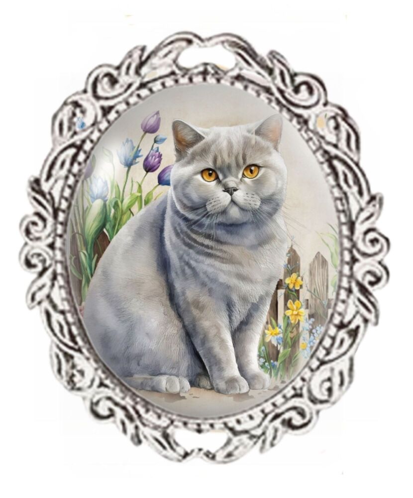 Silver Colour - Oval Glass Cabochon Brooch - British Blue Cat
