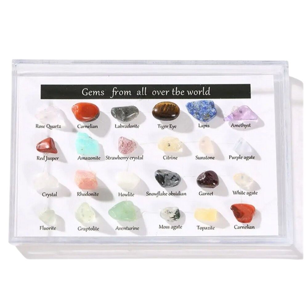 Small - 24 PCS/Set Crystals Mineral Specimens Collection Box