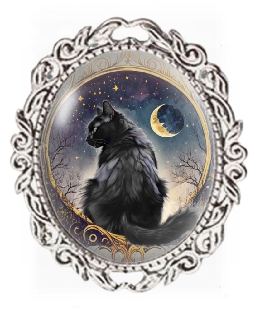 Silver Colour - Oval Glass Cabochon Brooch - Cat Sitting by Moon