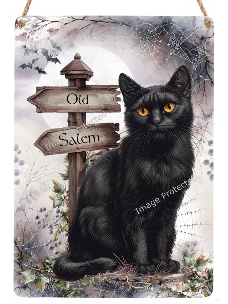 Black Cat Metal Sign - Old Salem