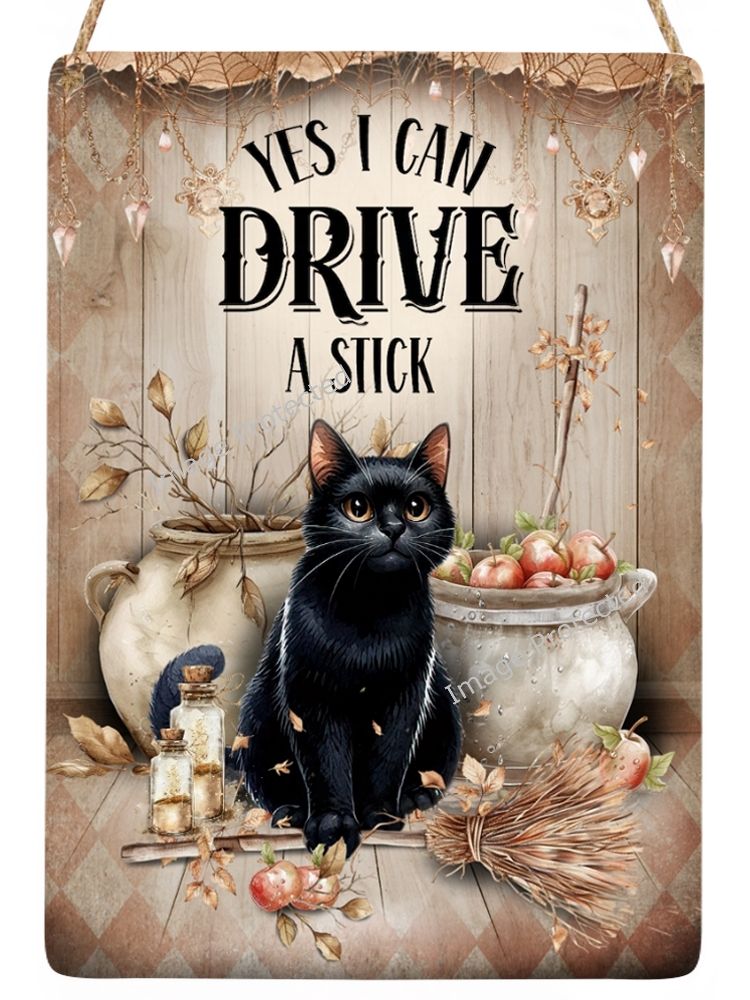 Black Cat Metal Sign - Yes I Can Drive A Stick