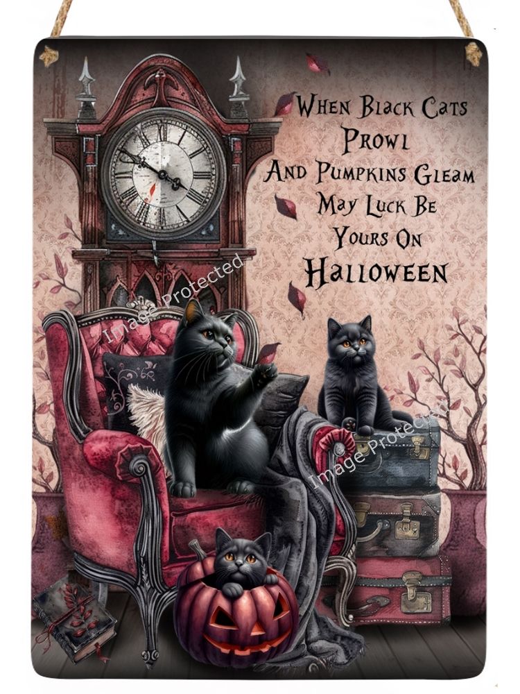 Black Cat Metal Sign - May Luck Be Yours On Halloween