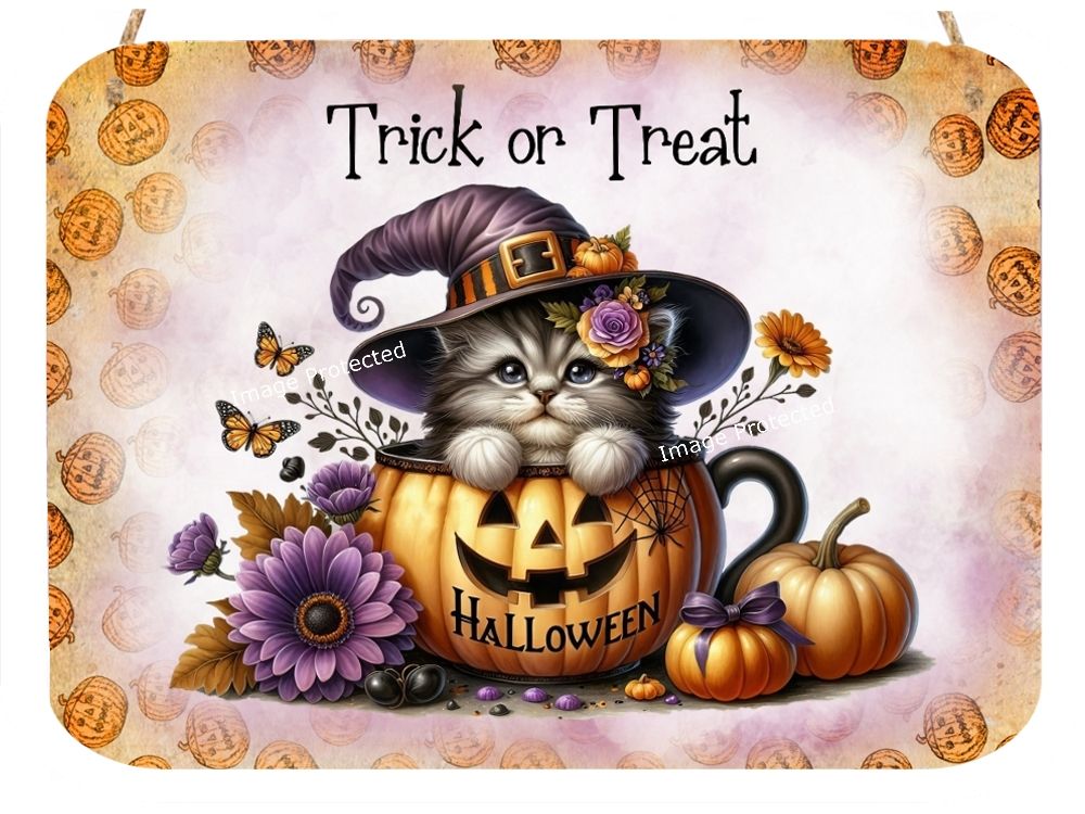 Cat Metal Sign - Trick or Treat - Grey Tabby Kitten