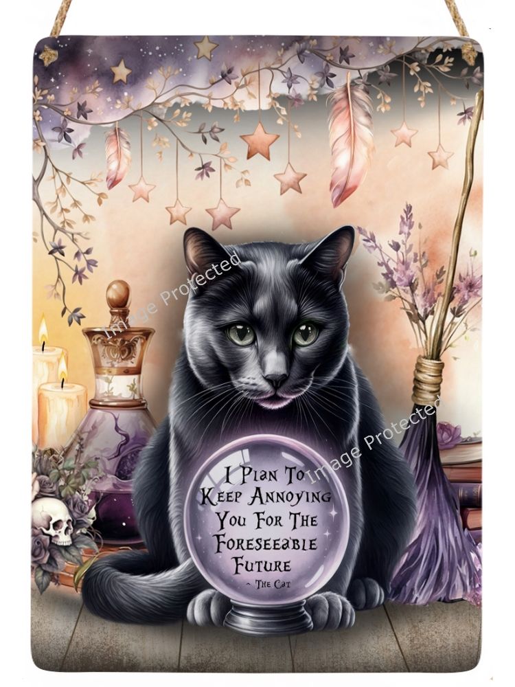 Black Cat Metal Sign - Cat and Crystal Ball - Funny