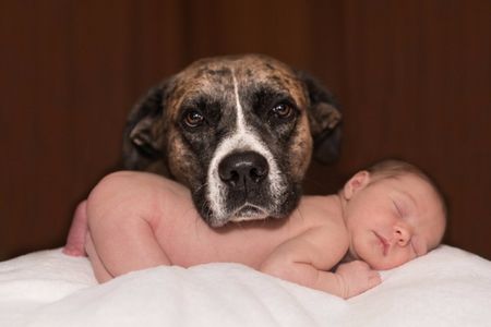 Dog with Baby