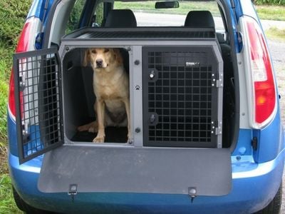 Labrador in a dog travel box