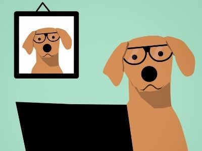 Cartoon spectacled dog on laptop