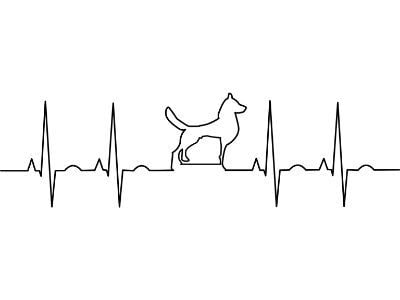 ECG with dog silhouette