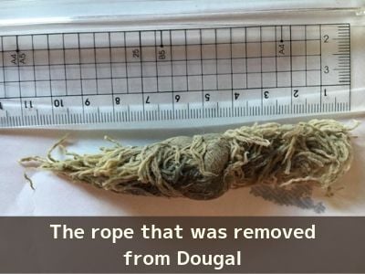 The rope removed from Dougal