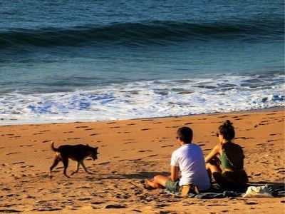 Couple on the beach with dog