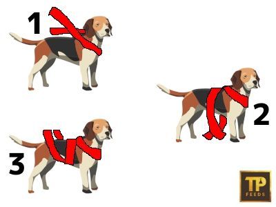 Wrap diagram instructions for dogs